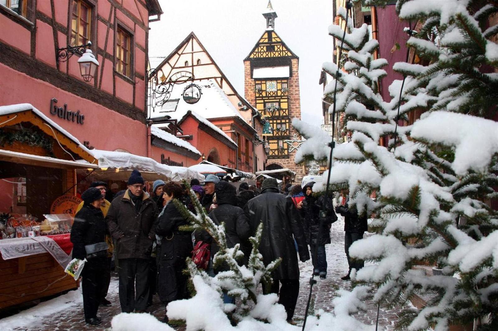 Gite Le Marronnier - Au Calme - Parking & Terrasse - Pres De Colmar Et Riquewihr - Route Des Vins Châtenois Eksteriør billede