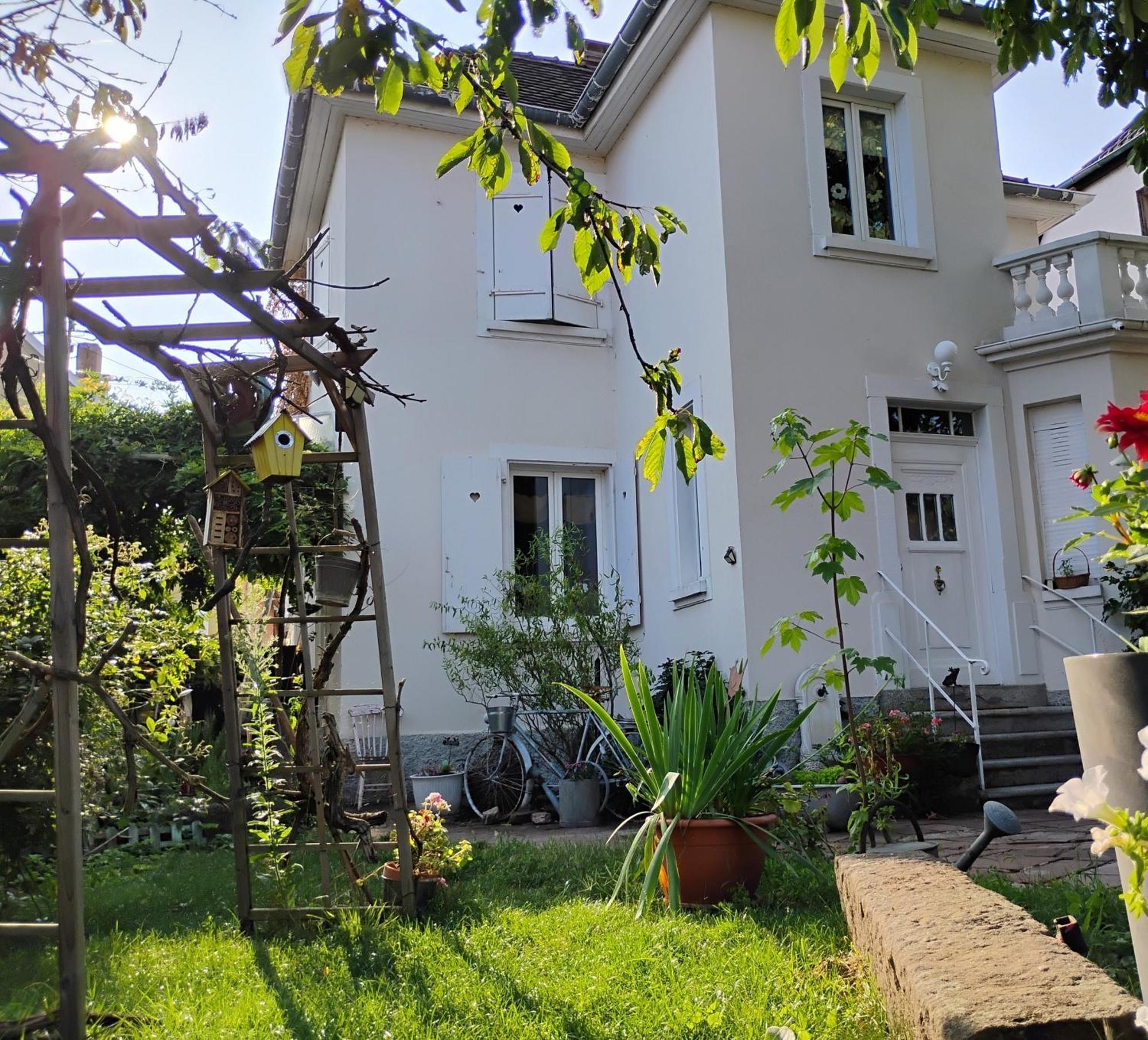 Gite Le Marronnier - Au Calme - Parking & Terrasse - Pres De Colmar Et Riquewihr - Route Des Vins Châtenois Eksteriør billede