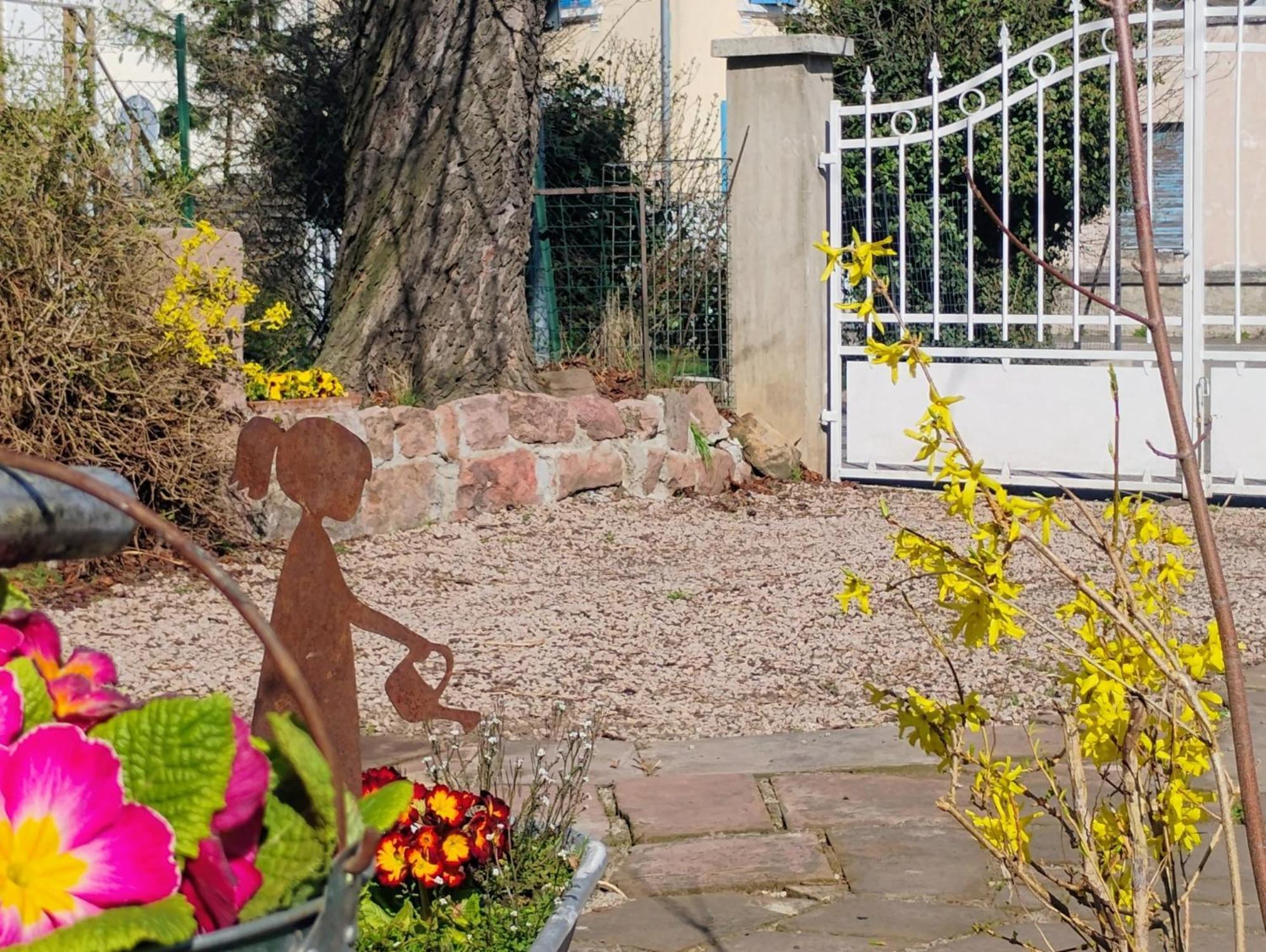 Gite Le Marronnier - Au Calme - Parking & Terrasse - Pres De Colmar Et Riquewihr - Route Des Vins Châtenois Eksteriør billede