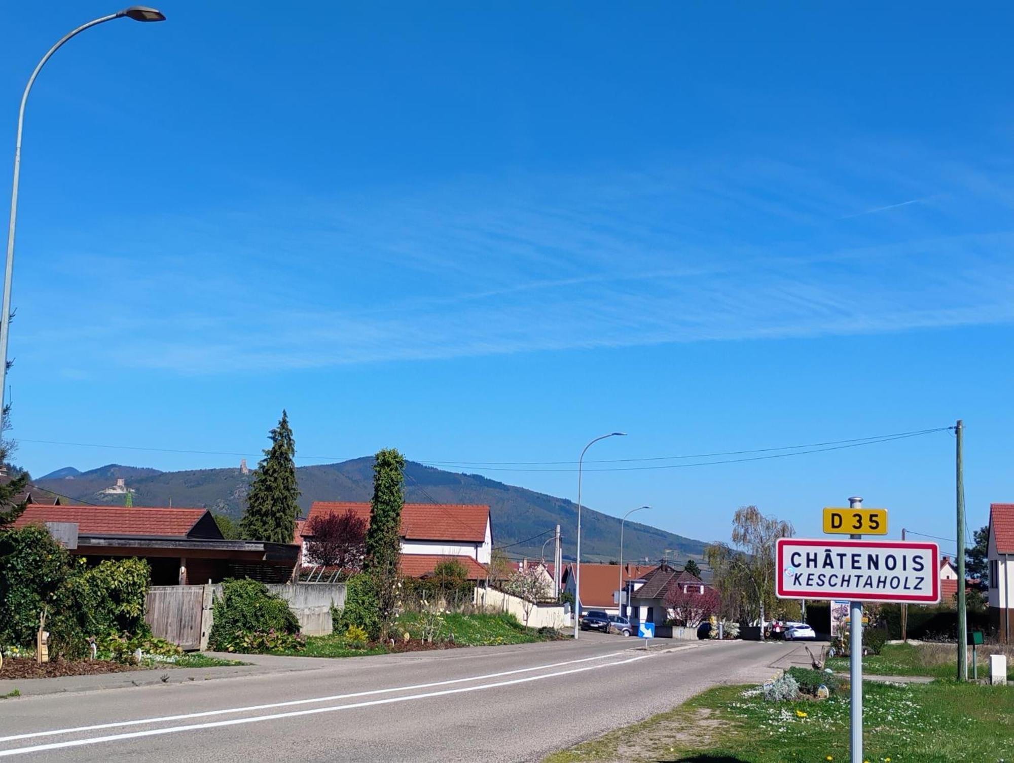 Gite Le Marronnier - Au Calme - Parking & Terrasse - Pres De Colmar Et Riquewihr - Route Des Vins Châtenois Eksteriør billede