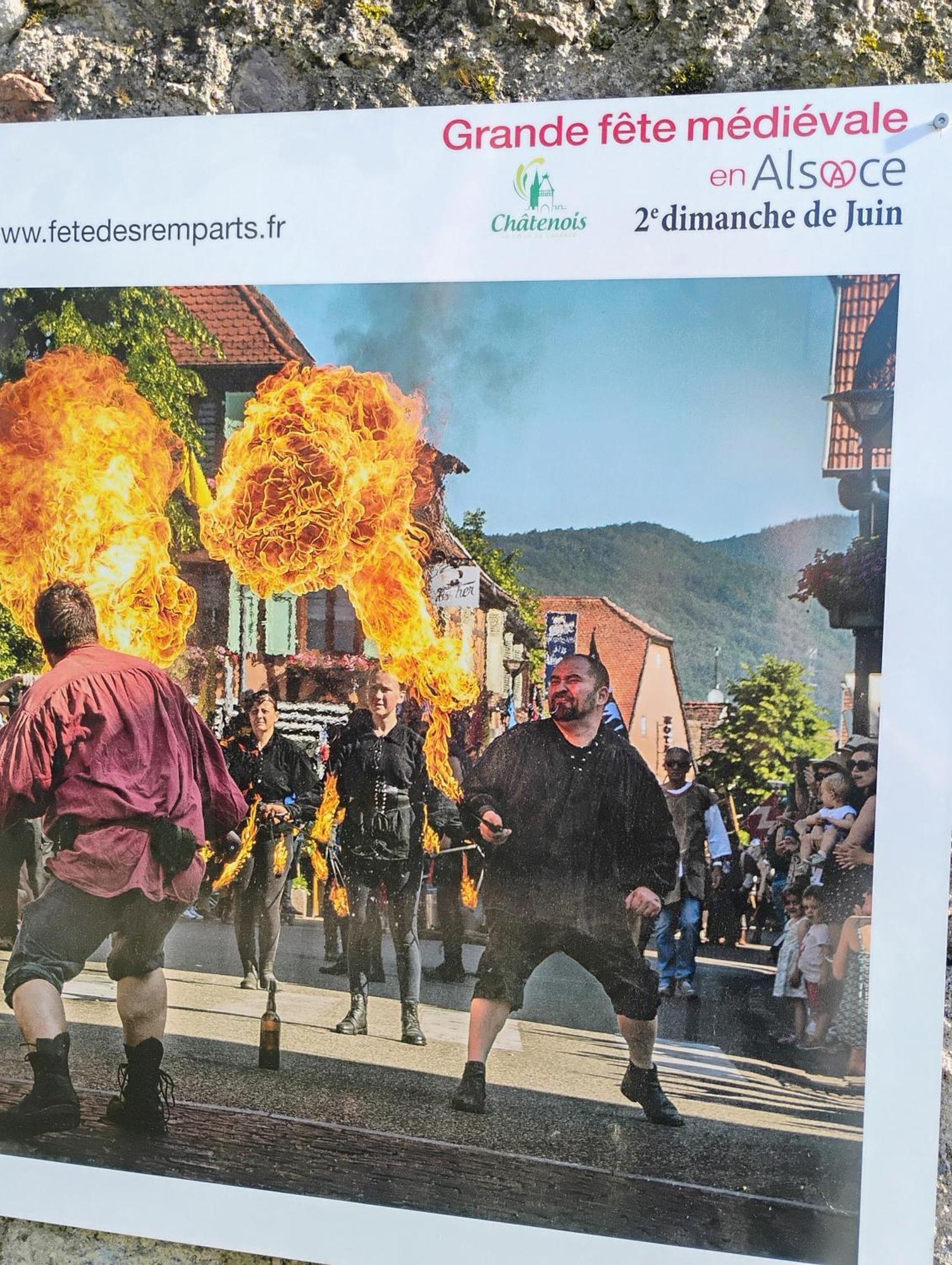 Gite Le Marronnier - Au Calme - Parking & Terrasse - Pres De Colmar Et Riquewihr - Route Des Vins Châtenois Eksteriør billede